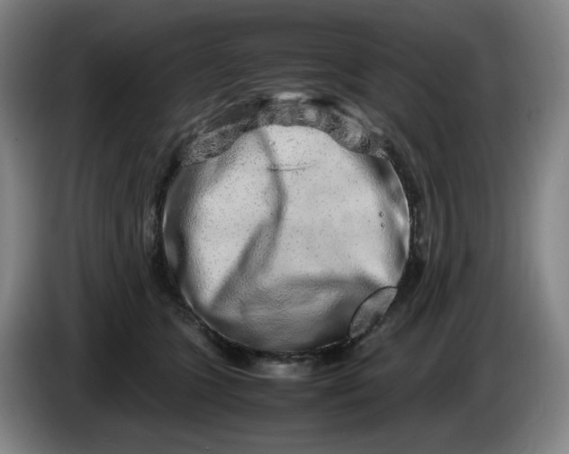 X0000085780563200703301428