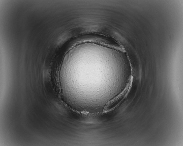 X0000085780564200703301428