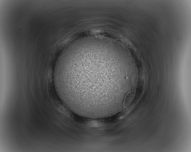 X0000085780565200703301428