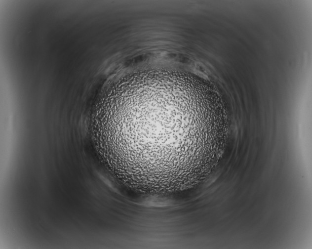 X0000085780568200703301428