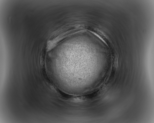 X0000085780569200703301428