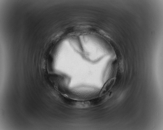 X0000085780571200703301428