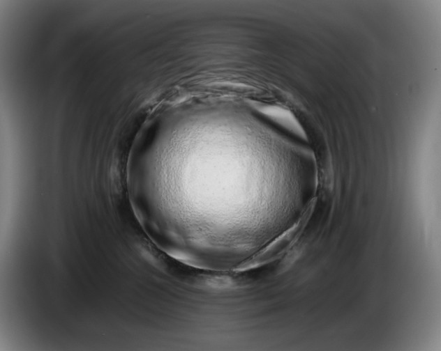 X0000085780572200703301428