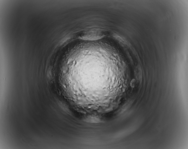 X0000085780573200703301428