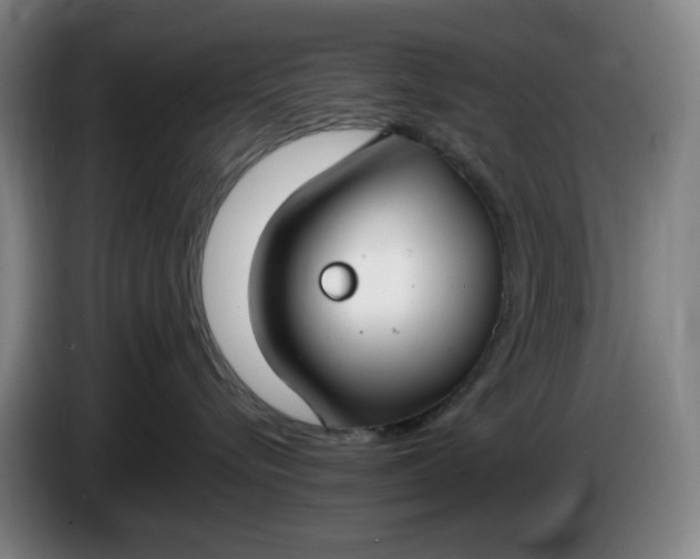 X0000085780576200703301428