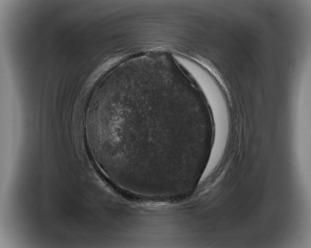 X0000085780577200703301427