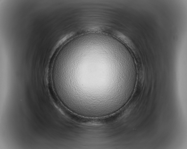 X0000085780578200703301427