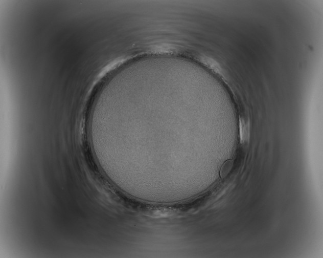 X0000085780579200703301427