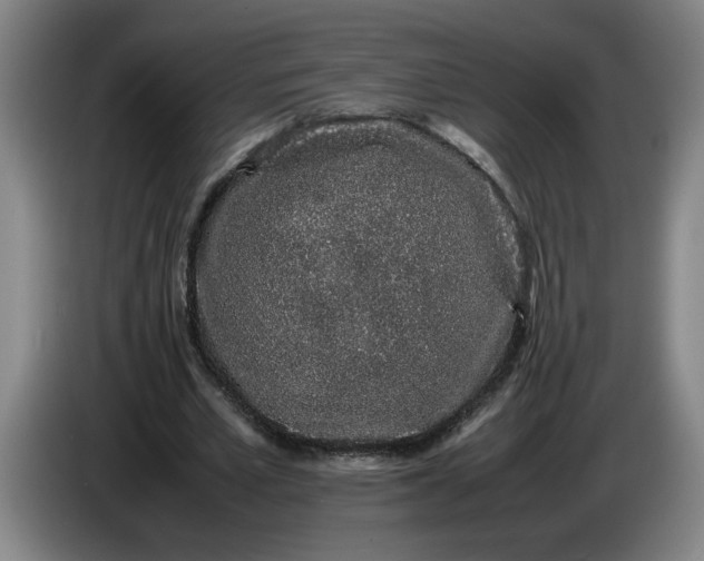 X0000085780581200703301427