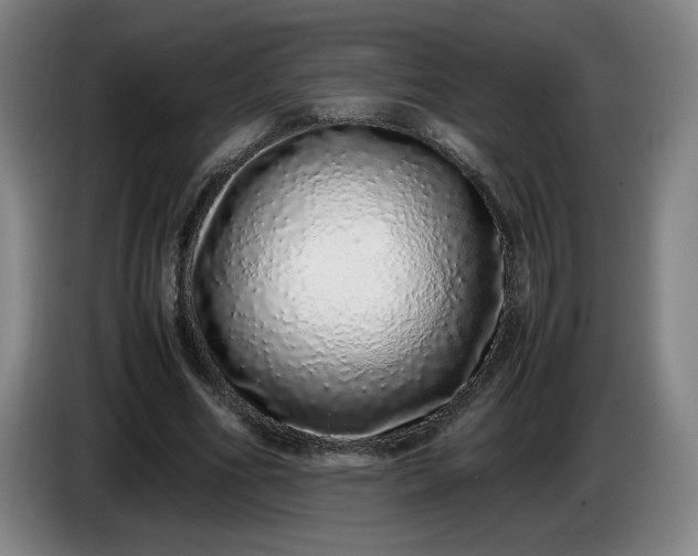 X0000085780586200703301427