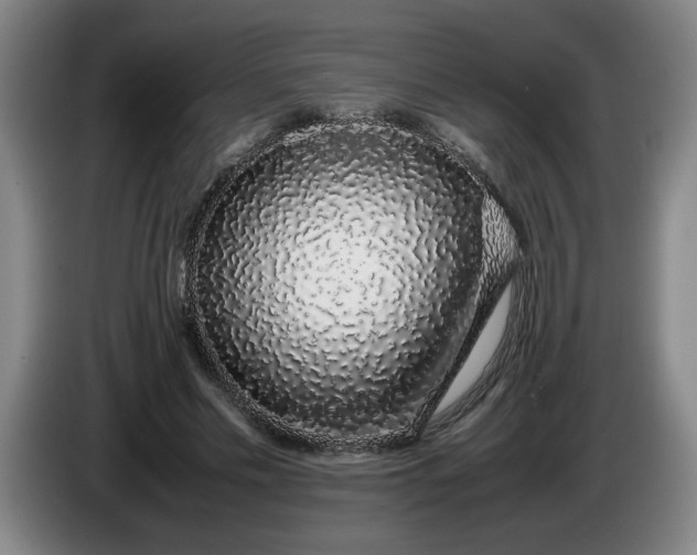 X0000085780589200703301427