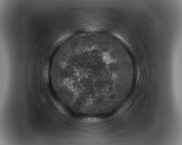 X0000085780590200703301427