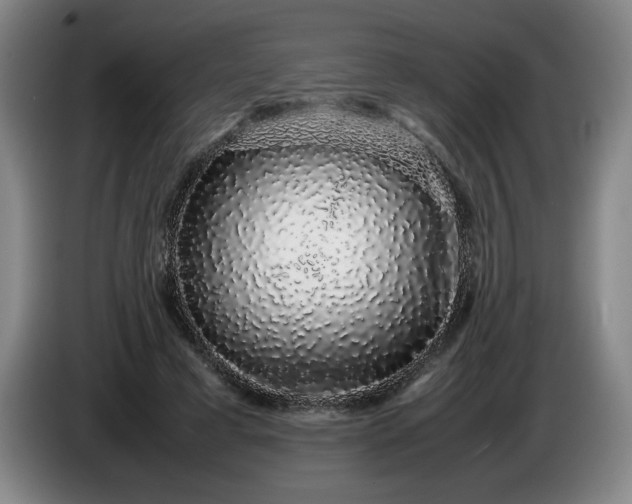 X0000085780593200703301427