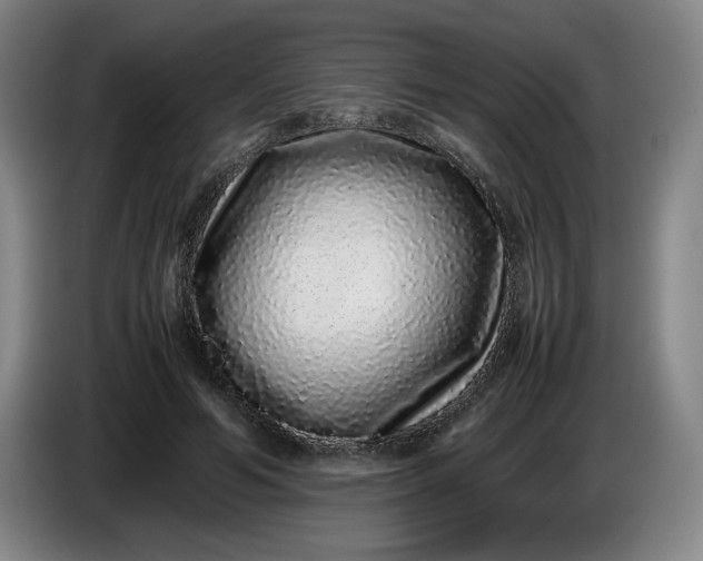 X0000085780594200703301427