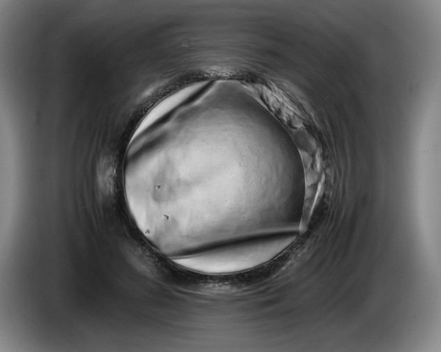 X0000085780596200703301427