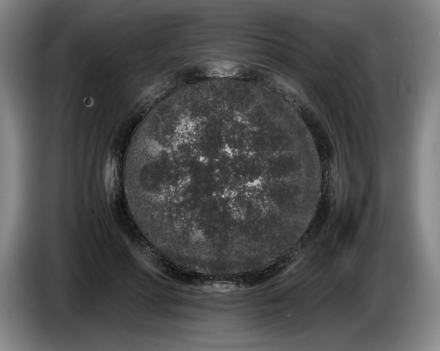 X0000085780598200703301427