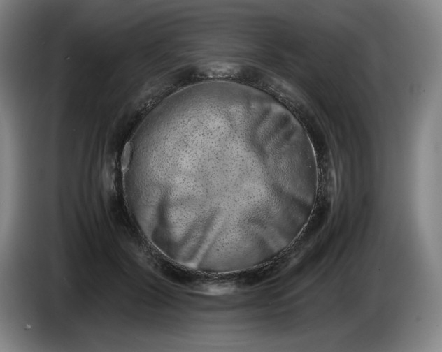 X0000085780604200703301427