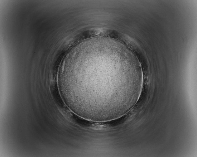 X0000085780607200703301427