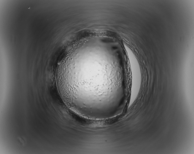 X0000085780609200703301427