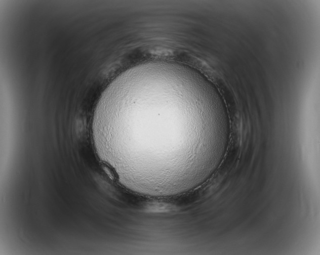 X0000085780614200703301427