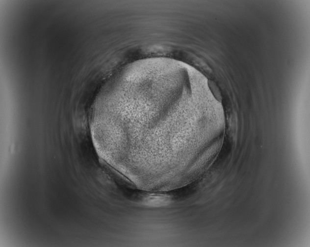 X0000085780617200703301426