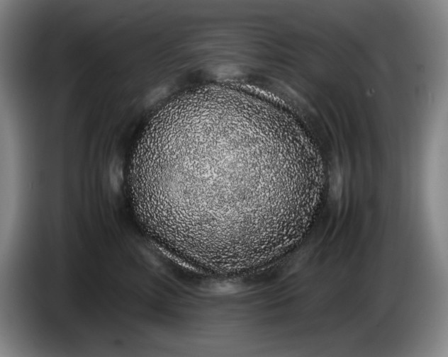 X0000085780618200703301426