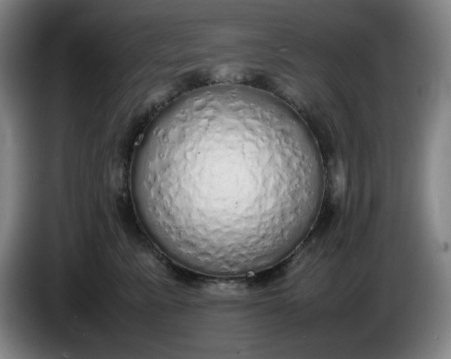 X0000085780619200703301426