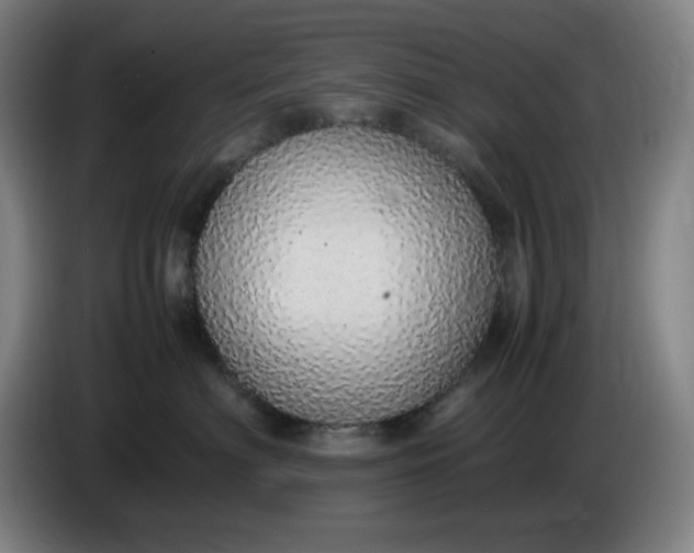 X0000085780622200703301426