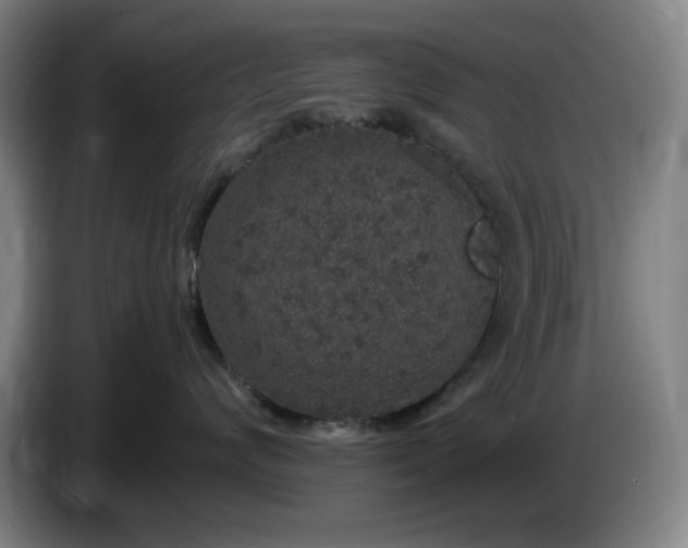 X0000085780624200703301426