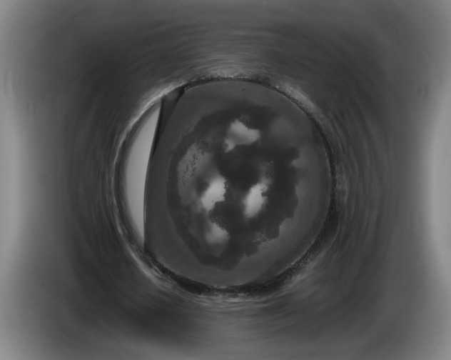 X0000085780626200703301426