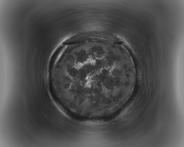 X0000085780630200703301426