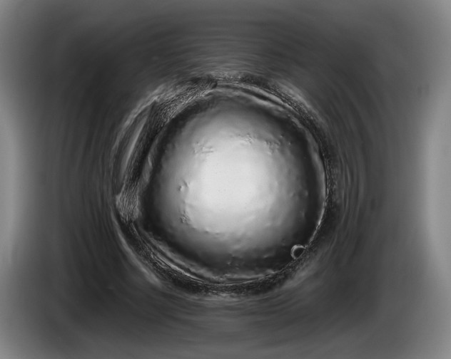 X0000085780634200703301426