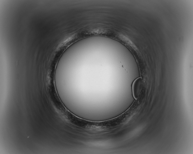 X0000085780635200703301426