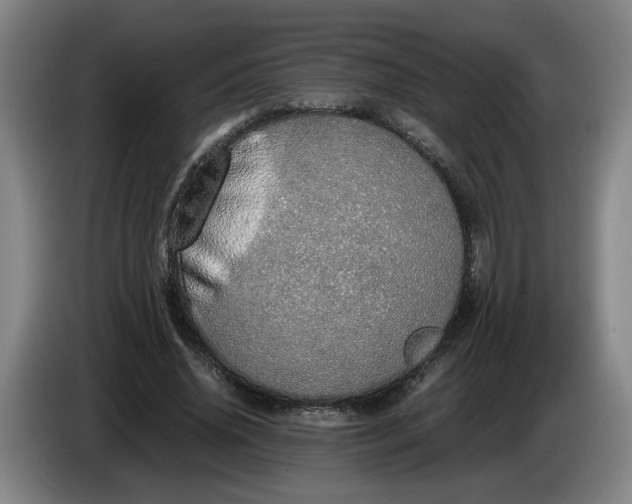 X0000085780636200703301426