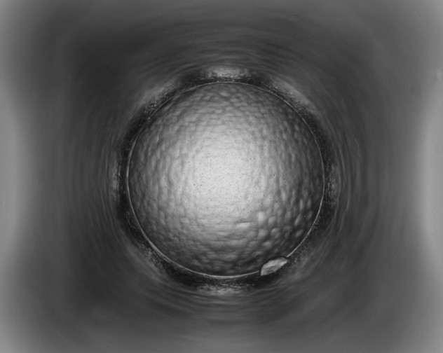 X0000085780639200703301426