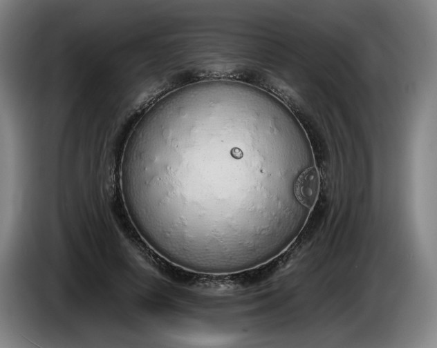 X0000085780642200703301426