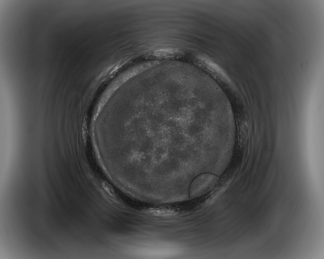 X0000085780644200703301426