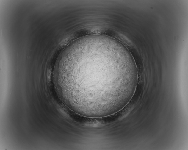 X0000085780646200703301426