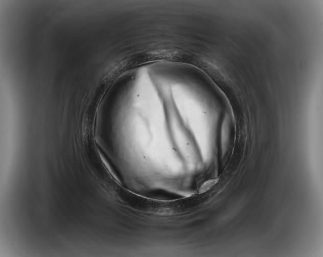 X0000085780647200703301426