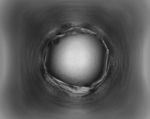 X0000085780648200703301426