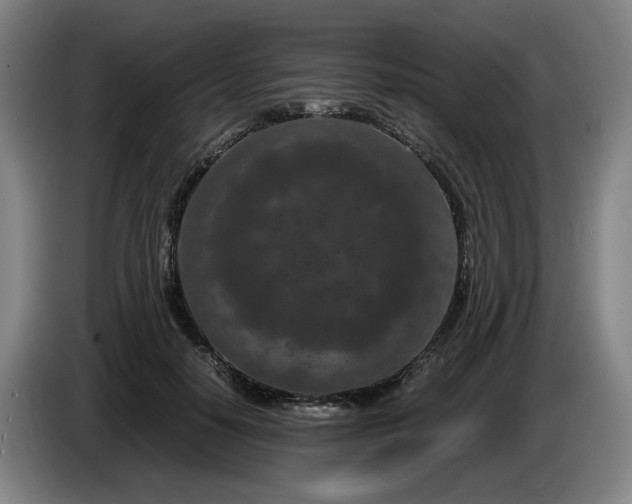 X0000085780650200703301426