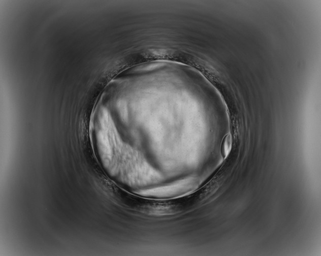 X0000085780651200703301426