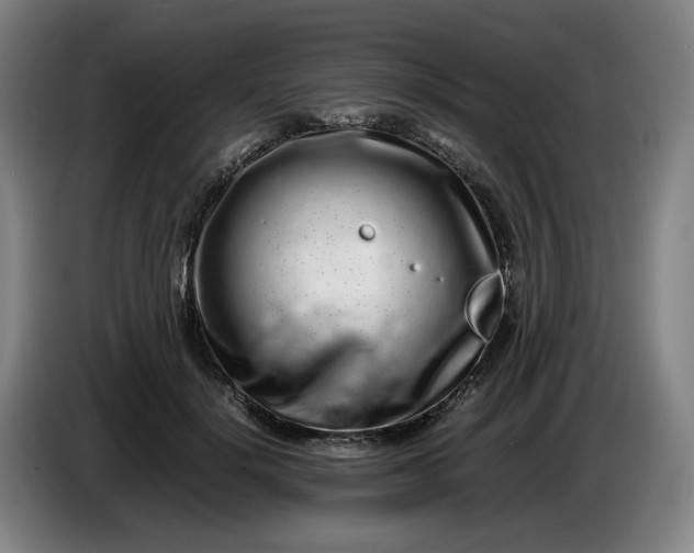 X0000085780652200703301426