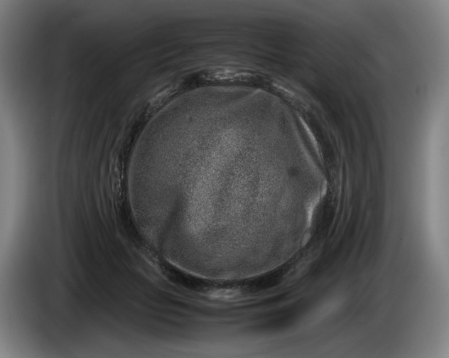 X0000085780653200703301426