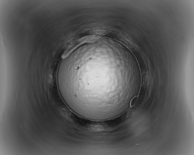 X0000085780655200703301426