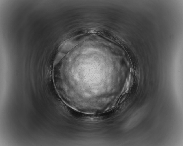 X0000085780657200703301426