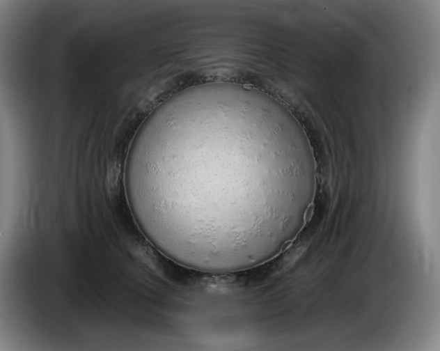 X0000085780660200703301426