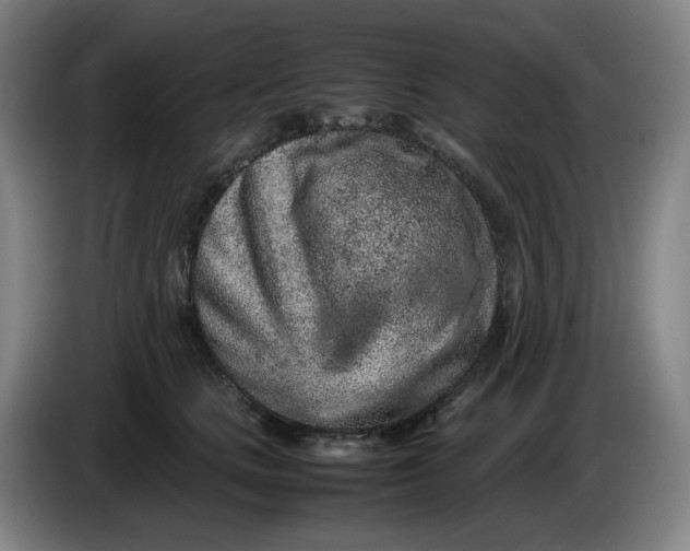 X0000085780661200703301426