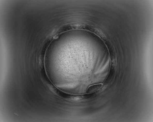 X0000085780662200703301426