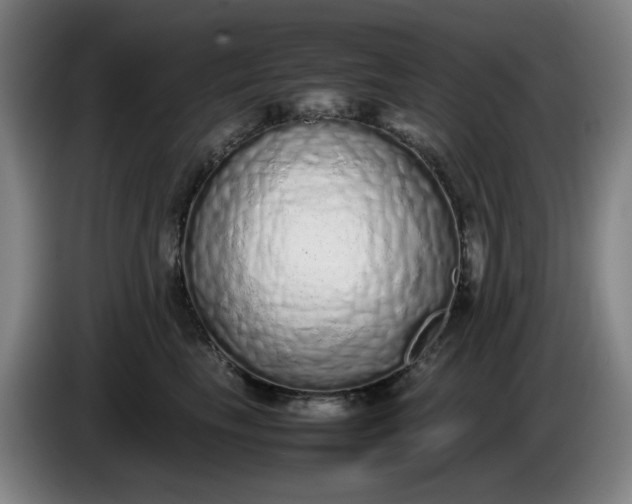 X0000085780665200703301426